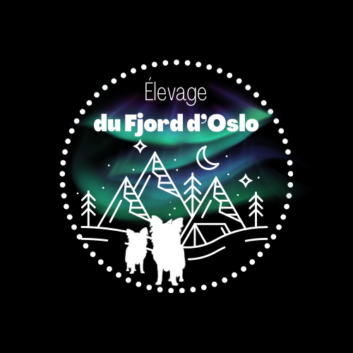 Du Fjord D’Oslo